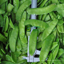 Nueva temporada IQF Frozen Pea Pods